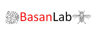 Basan Lab logo