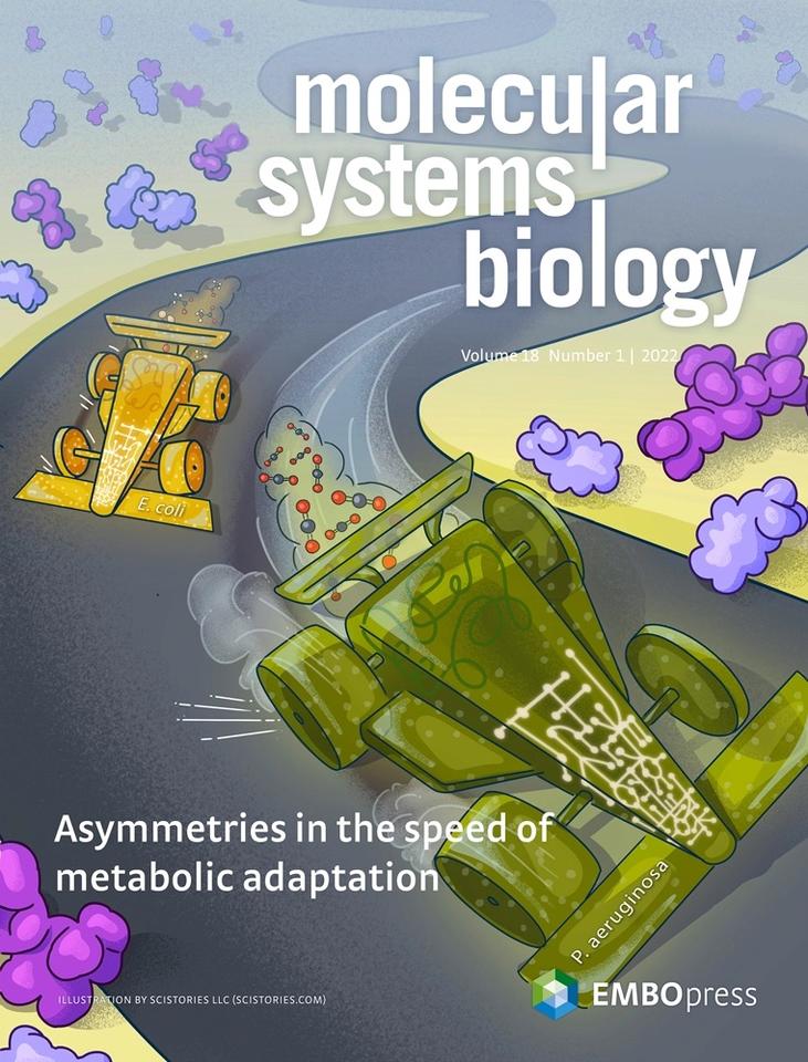 MSB cover